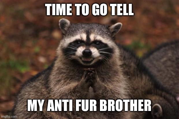 evil genius racoon | TIME TO GO TELL MY ANTI FUR BROTHER | image tagged in evil genius racoon | made w/ Imgflip meme maker