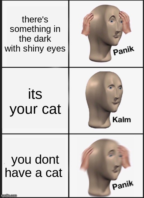 yep memes | there's something in the dark with shiny eyes; its your cat; you dont have a cat | image tagged in memes,panik kalm panik | made w/ Imgflip meme maker