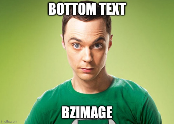 Sheldon Cooper | BOTTOM TEXT; BZIMAGE | image tagged in sheldon cooper | made w/ Imgflip meme maker