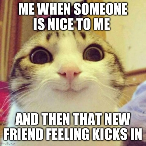 Happrns every time :) | ME WHEN SOMEONE IS NICE TO ME; AND THEN THAT NEW FRIEND FEELING KICKS IN | image tagged in memes,smiling cat | made w/ Imgflip meme maker