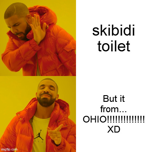 skibidi toilet But it from... OHIO!!!!!!!!!!!!!! XD | image tagged in memes,drake hotline bling | made w/ Imgflip meme maker