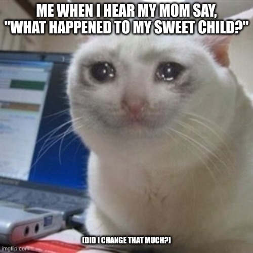 :l | ME WHEN I HEAR MY MOM SAY, "WHAT HAPPENED TO MY SWEET CHILD?"; (DID I CHANGE THAT MUCH?) | image tagged in crying cat | made w/ Imgflip meme maker