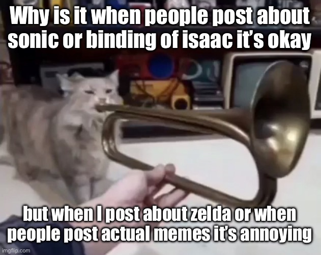 A | Why is it when people post about sonic or binding of isaac it’s okay; but when I post about zelda or when people post actual memes it’s annoying | made w/ Imgflip meme maker