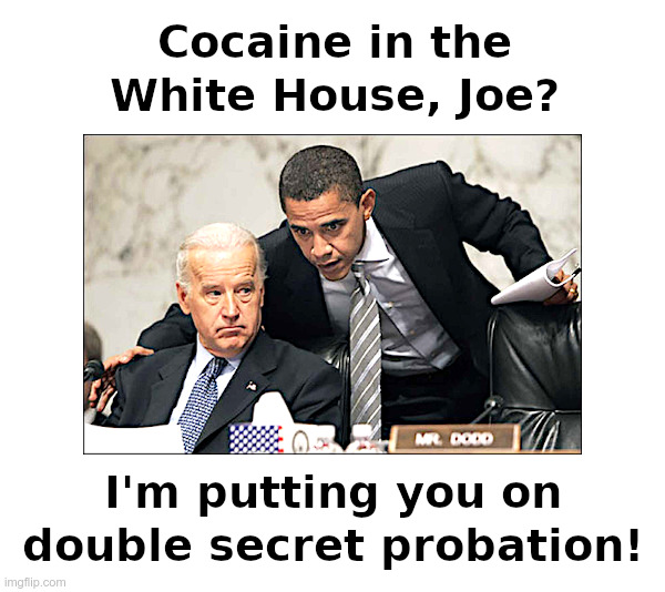 Cocaine in the White House, Joe? | image tagged in joe biden,barack obama,white house,cocaine,animal house,double secret probation | made w/ Imgflip meme maker