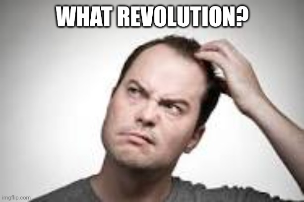 Man scratching head | WHAT REVOLUTION? | image tagged in man scratching head | made w/ Imgflip meme maker