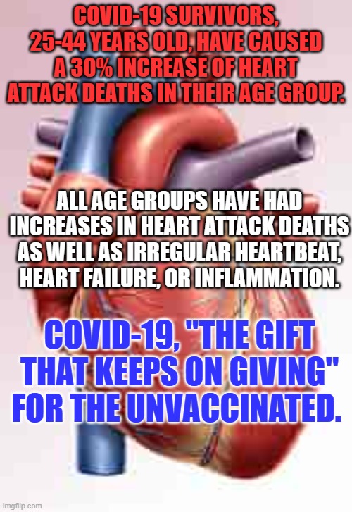 Here's a heartfelt plea to you to get vaccinated. | COVID-19 SURVIVORS, 25-44 YEARS OLD, HAVE CAUSED A 30% INCREASE OF HEART ATTACK DEATHS IN THEIR AGE GROUP. ALL AGE GROUPS HAVE HAD INCREASES IN HEART ATTACK DEATHS AS WELL AS IRREGULAR HEARTBEAT, HEART FAILURE, OR INFLAMMATION. COVID-19, "THE GIFT THAT KEEPS ON GIVING" FOR THE UNVACCINATED. | image tagged in politics | made w/ Imgflip meme maker