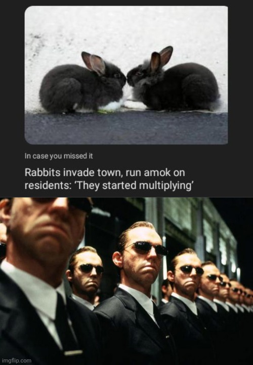 The rabbit invasion | image tagged in agent smith multiplied,bunny,bunnies,rabbit,invasion,memes | made w/ Imgflip meme maker