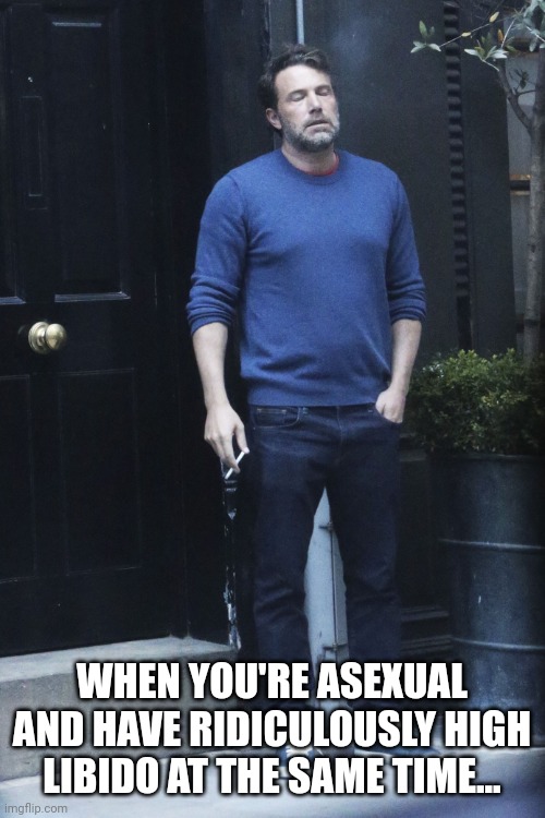 This Combo is Low-key Annoying AF... | WHEN YOU'RE ASEXUAL AND HAVE RIDICULOUSLY HIGH LIBIDO AT THE SAME TIME... | image tagged in so done and annoyed | made w/ Imgflip meme maker