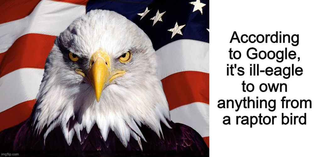 See what I did there...? :) | According to Google, it's ill-eagle to own anything from a raptor bird | image tagged in freedom eagle,blank white template | made w/ Imgflip meme maker