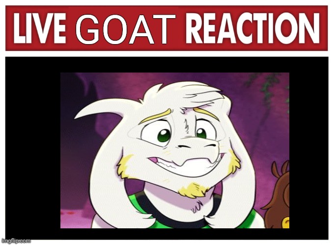 Live goat reaction | GOAT | image tagged in live reaction | made w/ Imgflip meme maker
