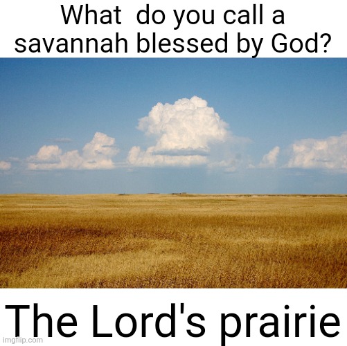 Meme #2,904 | What  do you call a savannah blessed by God? The Lord's prairie | image tagged in memes,jokes,savannah,the lord's prayer,funny,prairie | made w/ Imgflip meme maker