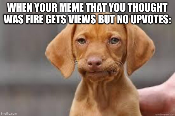 This happens quite a bit for me :( | WHEN YOUR MEME THAT YOU THOUGHT WAS FIRE GETS VIEWS BUT NO UPVOTES: | image tagged in disappointed dog | made w/ Imgflip meme maker