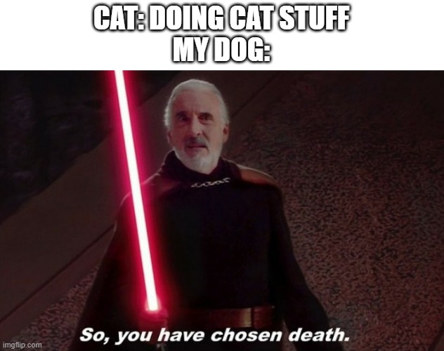 So you have choosen death | CAT: DOING CAT STUFF

MY DOG: | image tagged in so you have choosen death | made w/ Imgflip meme maker