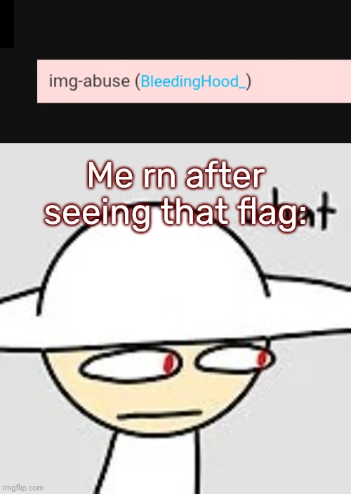Me rn after seeing that flag: | image tagged in opposition what | made w/ Imgflip meme maker