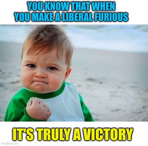 Victory Baby | YOU KNOW THAT WHEN YOU MAKE A LIBERAL FURIOUS IT'S TRULY A VICTORY | image tagged in victory baby | made w/ Imgflip meme maker