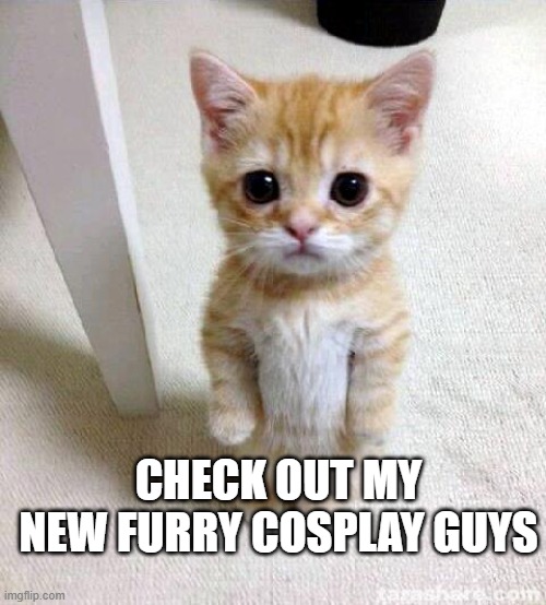 Cute Cat Meme | CHECK OUT MY NEW FURRY COSPLAY GUYS | image tagged in memes,cute cat | made w/ Imgflip meme maker