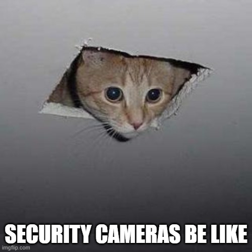 Ceiling Cat Meme | SECURITY CAMERAS BE LIKE | image tagged in memes,ceiling cat | made w/ Imgflip meme maker