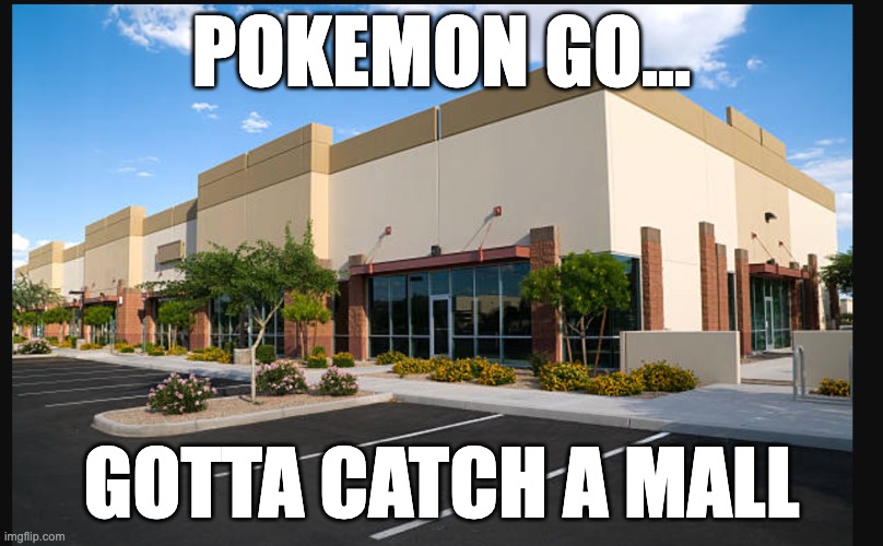 pokemon go | POKEMON GO... GOTTA CATCH A MALL | image tagged in pokemon,mall | made w/ Imgflip meme maker