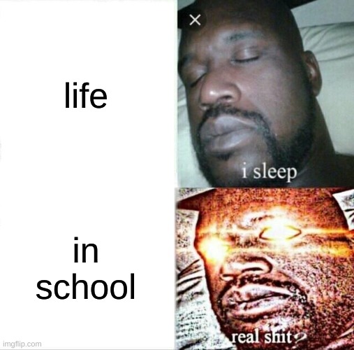 school | life; in school | image tagged in memes,sleeping shaq | made w/ Imgflip meme maker