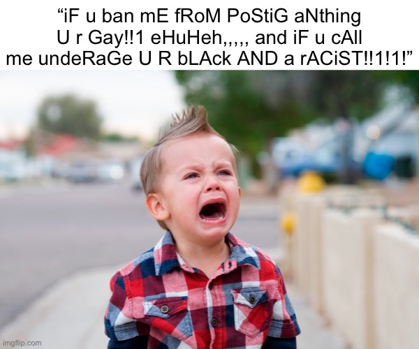 Basically Alerbillbones. I’m gonna assume he’s been comment banned for some time when this image was posted. | “iF u ban mE fRoM PoStiG aNthing U r Gay!!1 eHuHeh,,,,, and iF u cAll me undeRaGe U R bLAck AND a rACiST!!1!1!” | made w/ Imgflip meme maker