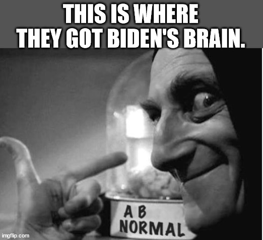 ABBY NORMAL <3 YOU | THIS IS WHERE THEY GOT BIDEN'S BRAIN. | image tagged in abby normal 3 you | made w/ Imgflip meme maker
