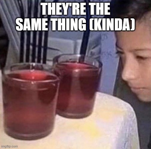 Same thing | THEY'RE THE SAME THING (KINDA) | image tagged in same thing | made w/ Imgflip meme maker