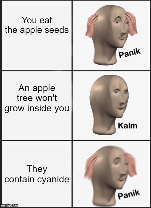 Panik Kalm Panik Meme | You eat the apple seeds An apple tree won't grow inside you They contain cyanide | image tagged in memes,panik kalm panik | made w/ Imgflip meme maker