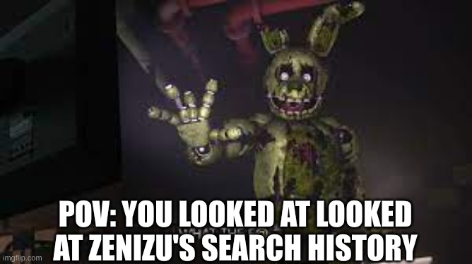 ZENIZU WAS SEARCH ****** | POV: YOU LOOKED AT LOOKED AT ZENIZU'S SEARCH HISTORY | image tagged in im serous | made w/ Imgflip meme maker