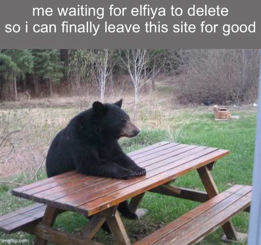 j | me waiting for elfiya to delete so i can finally leave this site for good | image tagged in patient bear | made w/ Imgflip meme maker