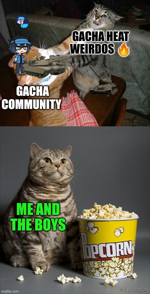 Cat watching other cats fight | GACHA COMMUNITY GACHA HEAT WEIRDOS ? ME AND THE BOYS | image tagged in cat watching other cats fight | made w/ Imgflip meme maker
