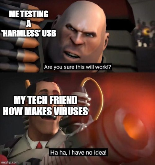 you computer has virus | ME TESTING A 'HARMLESS' USB; MY TECH FRIEND HOW MAKES VIRUSES | image tagged in are you sure this will work ha ha i have no idea | made w/ Imgflip meme maker