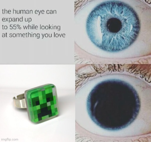 The Minecraft Creeper ring | image tagged in eye pupil expand,minecraft,creeper,ring,rings,memes | made w/ Imgflip meme maker