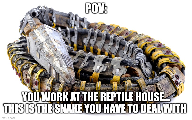 Weirdest snake I've ever seen | POV:; YOU WORK AT THE REPTILE HOUSE... THIS IS THE SNAKE YOU HAVE TO DEAL WITH | image tagged in memes | made w/ Imgflip meme maker