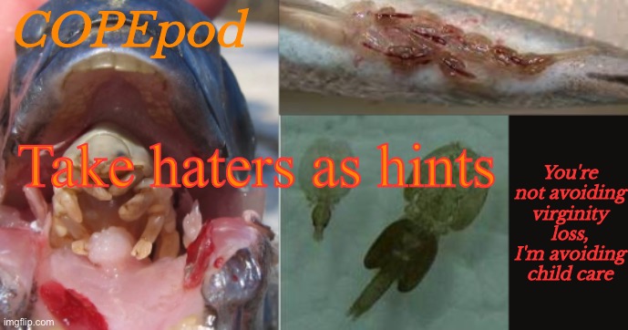 COPEpod's announcement template | Take haters as hints | image tagged in copepod's announcement template | made w/ Imgflip meme maker