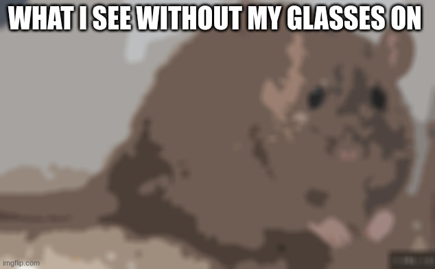blurry as heck | WHAT I SEE WITHOUT MY GLASSES ON | image tagged in rats,why are you reading the tags | made w/ Imgflip meme maker