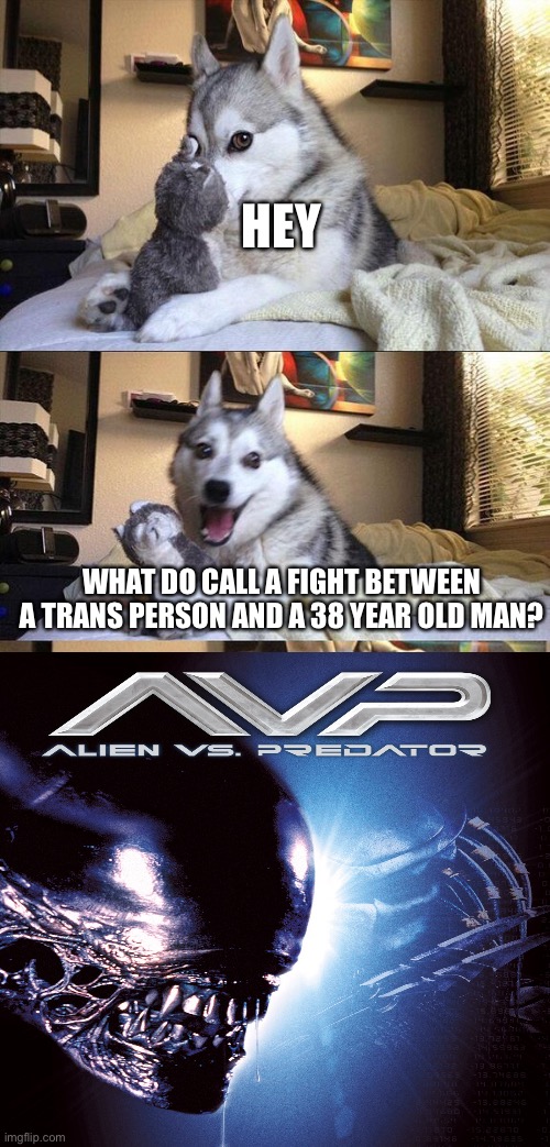 *Laughs in war criminal* | HEY; WHAT DO CALL A FIGHT BETWEEN A TRANS PERSON AND A 38 YEAR OLD MAN? | image tagged in memes,bad pun dog | made w/ Imgflip meme maker