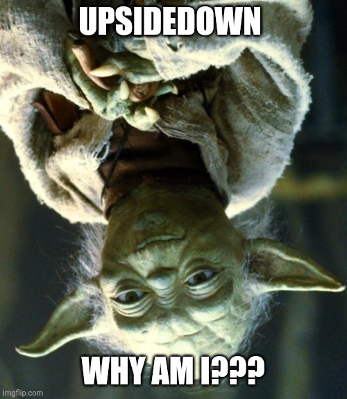 Who flipped Yoda upsidedown!!! Darn pranksters! | UPSIDEDOWN; WHY AM I??? | image tagged in memes,star wars yoda | made w/ Imgflip meme maker