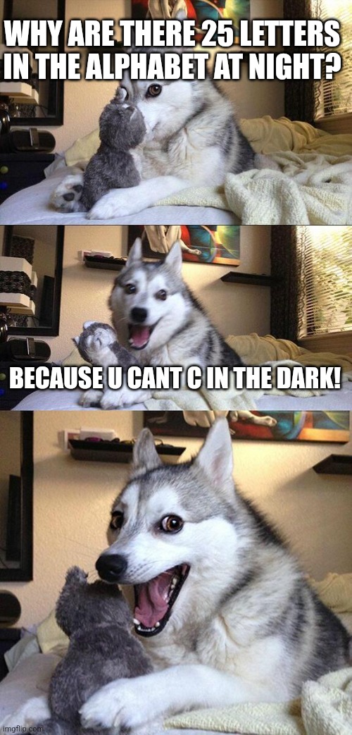 Hehe | WHY ARE THERE 25 LETTERS IN THE ALPHABET AT NIGHT? BECAUSE U CANT C IN THE DARK! | image tagged in memes,bad pun dog | made w/ Imgflip meme maker