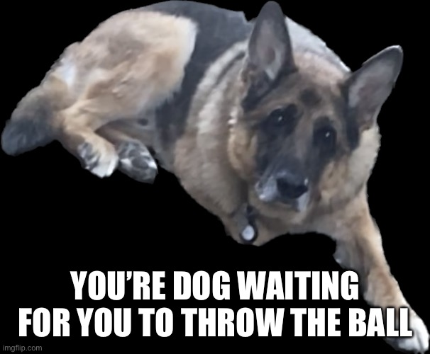 YOU’RE DOG WAITING FOR YOU TO THROW THE BALL | made w/ Imgflip meme maker