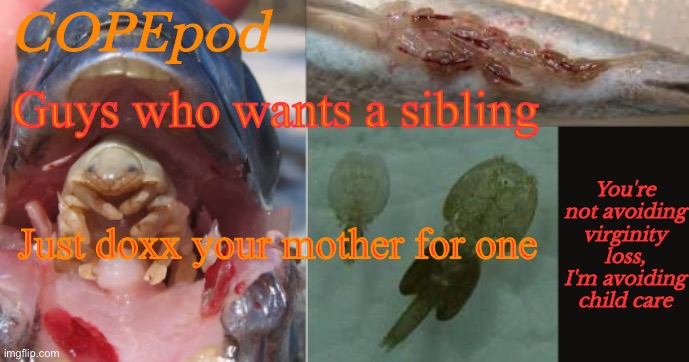 COPEpod's announcement template | Guys who wants a sibling; Just doxx your mother for one | image tagged in copepod's announcement template | made w/ Imgflip meme maker