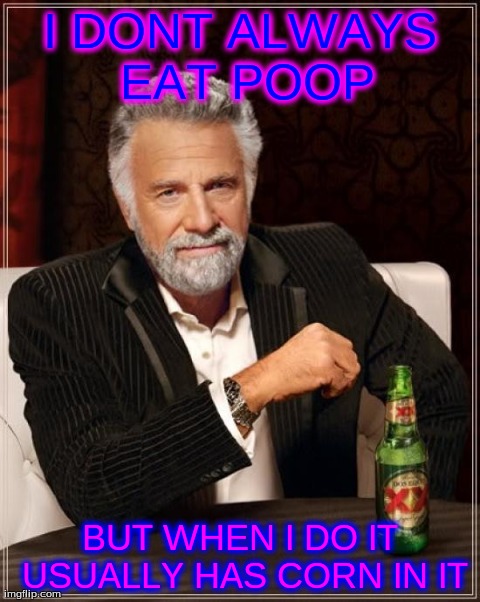 The Most Interesting Man In The World Meme | I DONT ALWAYS EAT POOP BUT WHEN I DO IT USUALLY HAS CORN IN IT | image tagged in memes,the most interesting man in the world | made w/ Imgflip meme maker