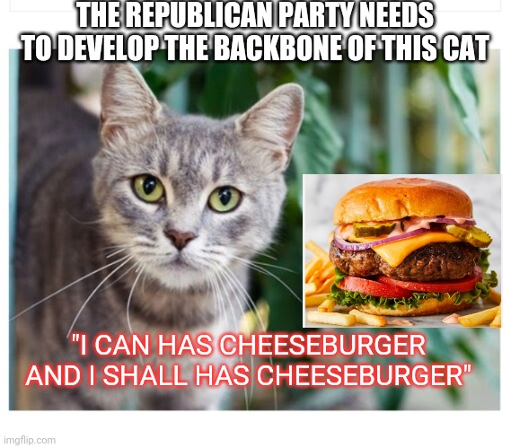 Republicans Grow Spine | THE REPUBLICAN PARTY NEEDS TO DEVELOP THE BACKBONE OF THIS CAT; "I CAN HAS CHEESEBURGER AND I SHALL HAS CHEESEBURGER" | image tagged in republican party,grow,repair,defeat,libtard,commies | made w/ Imgflip meme maker