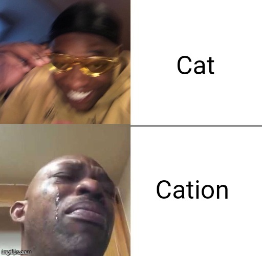 Cation | Cat; Cation | image tagged in wearing sunglasses crying | made w/ Imgflip meme maker