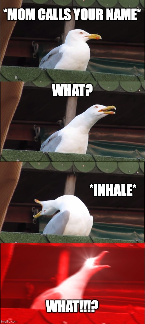 Inhaling Seagull | *MOM CALLS YOUR NAME*; WHAT? *INHALE*; WHAT!!!? | image tagged in memes,inhaling seagull | made w/ Imgflip meme maker