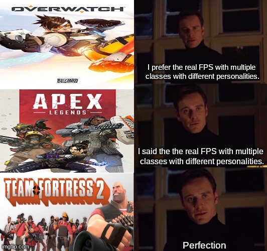 perfection | I prefer the real FPS with multiple  classes with different personalities. I said the the real FPS with multiple  classes with different personalities. Perfection | image tagged in perfection | made w/ Imgflip meme maker