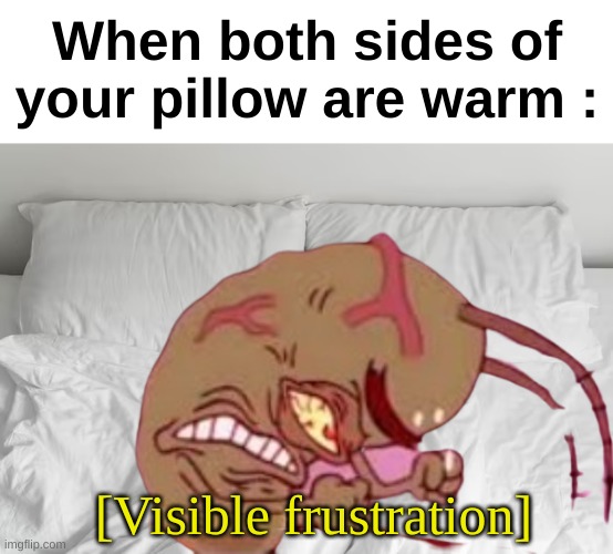 fr bro | When both sides of your pillow are warm :; [Visible frustration] | image tagged in memes,funny,relatable,pillow,warm,front page plz | made w/ Imgflip meme maker