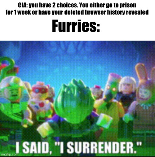 Fax | CIA: you have 2 choices. You either go to prison for 1 week or have your deleted browser history revealed; Furries: | made w/ Imgflip meme maker