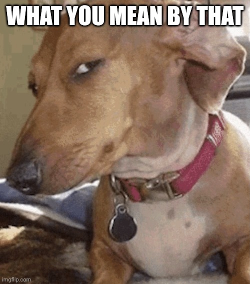 WHAT YOU MEAN BY THAT | image tagged in side eye dog | made w/ Imgflip meme maker
