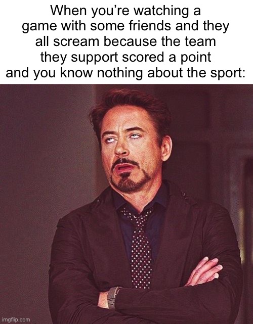 Robert Downey Jr Annoyed | When you’re watching a game with some friends and they all scream because the team they support scored a point and you know nothing about the sport: | image tagged in robert downey jr annoyed | made w/ Imgflip meme maker