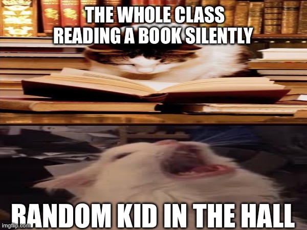 School be like | THE WHOLE CLASS READING A BOOK SILENTLY; RANDOM KID IN THE HALL | image tagged in school | made w/ Imgflip meme maker